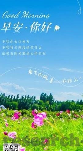 皇冠足球比分足-皇冠足球比分足，绿茵场上的数字交响曲