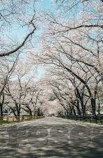 竞彩比分足球比赛-竞彩比分背后的足球哲学，从数字游戏到绿茵场上的智慧博弈